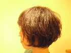 PC164429.JPG