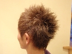 PC124390.JPG